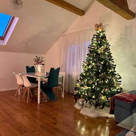 Attic 33 Leilighet Câmpulung Moldovenesc Eksteriør bilde