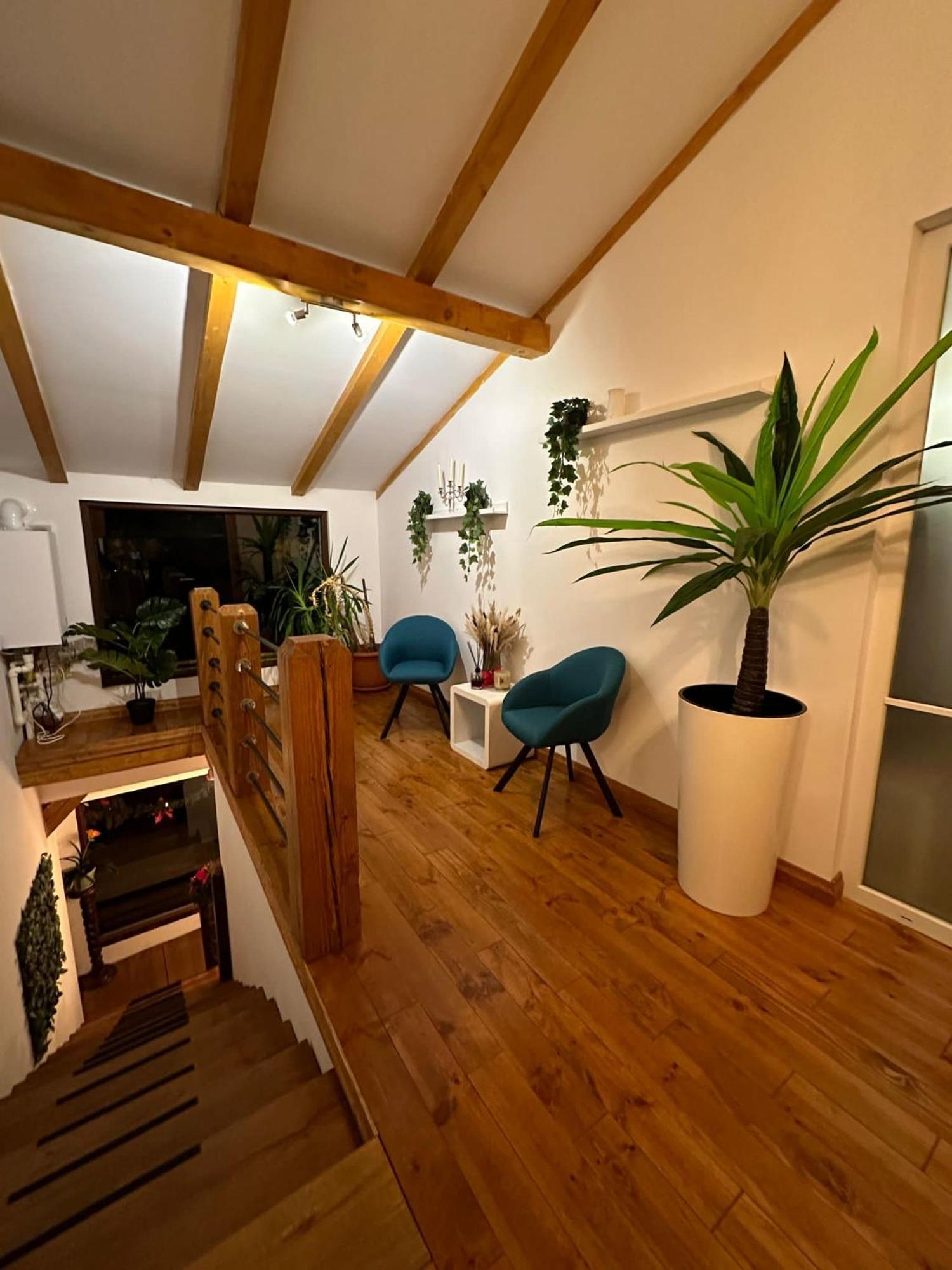 Attic 33 Leilighet Câmpulung Moldovenesc Eksteriør bilde