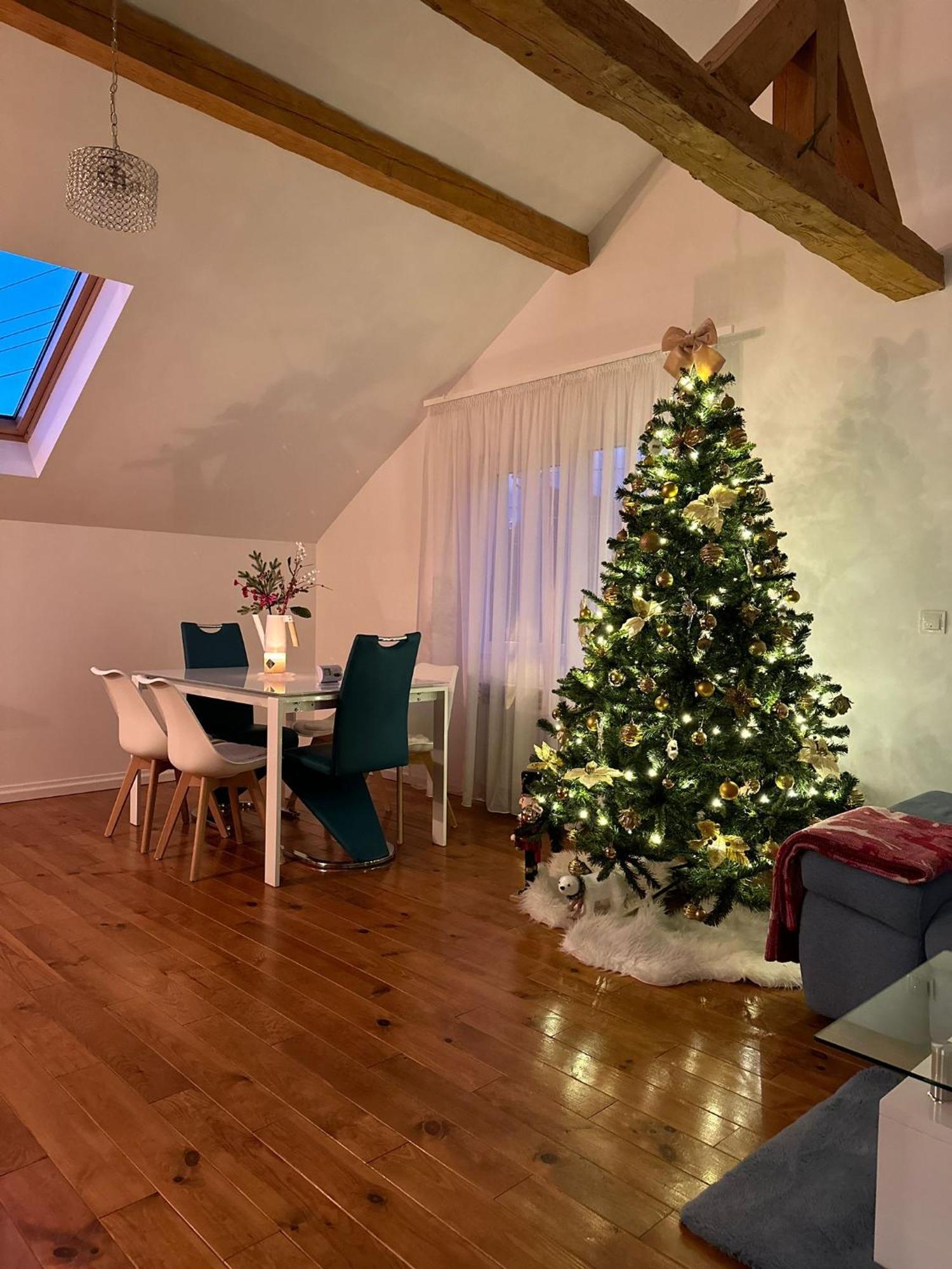 Attic 33 Leilighet Câmpulung Moldovenesc Eksteriør bilde
